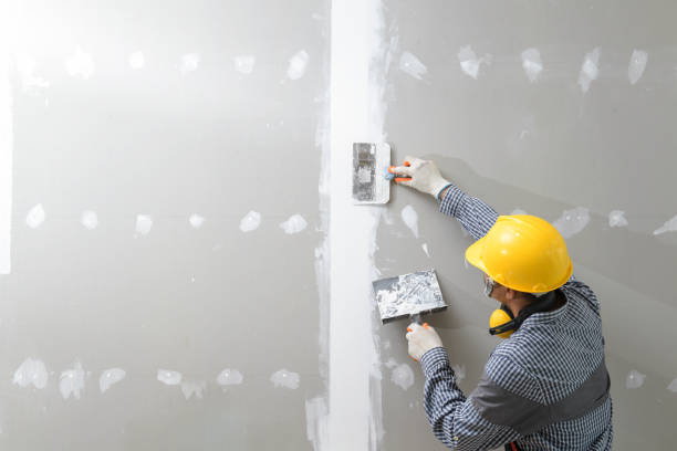 Cedar Park, TX Mold Removal Company