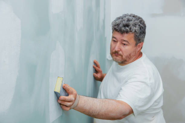 Best Comprehensive Air Testing for Mold Contaminants  in Cedar Park, TX