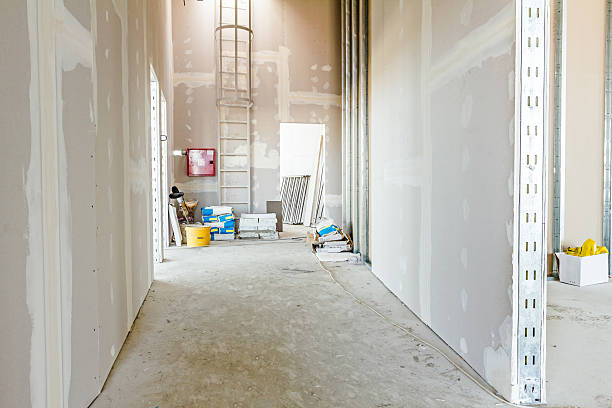 Best Real Estate Mold Inspection  in Cedar Park, TX
